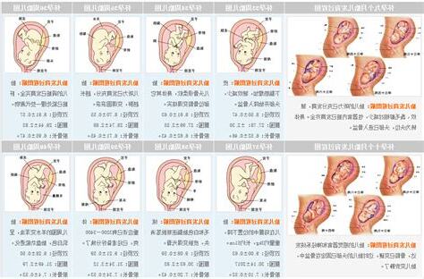 懷孕 刺青
